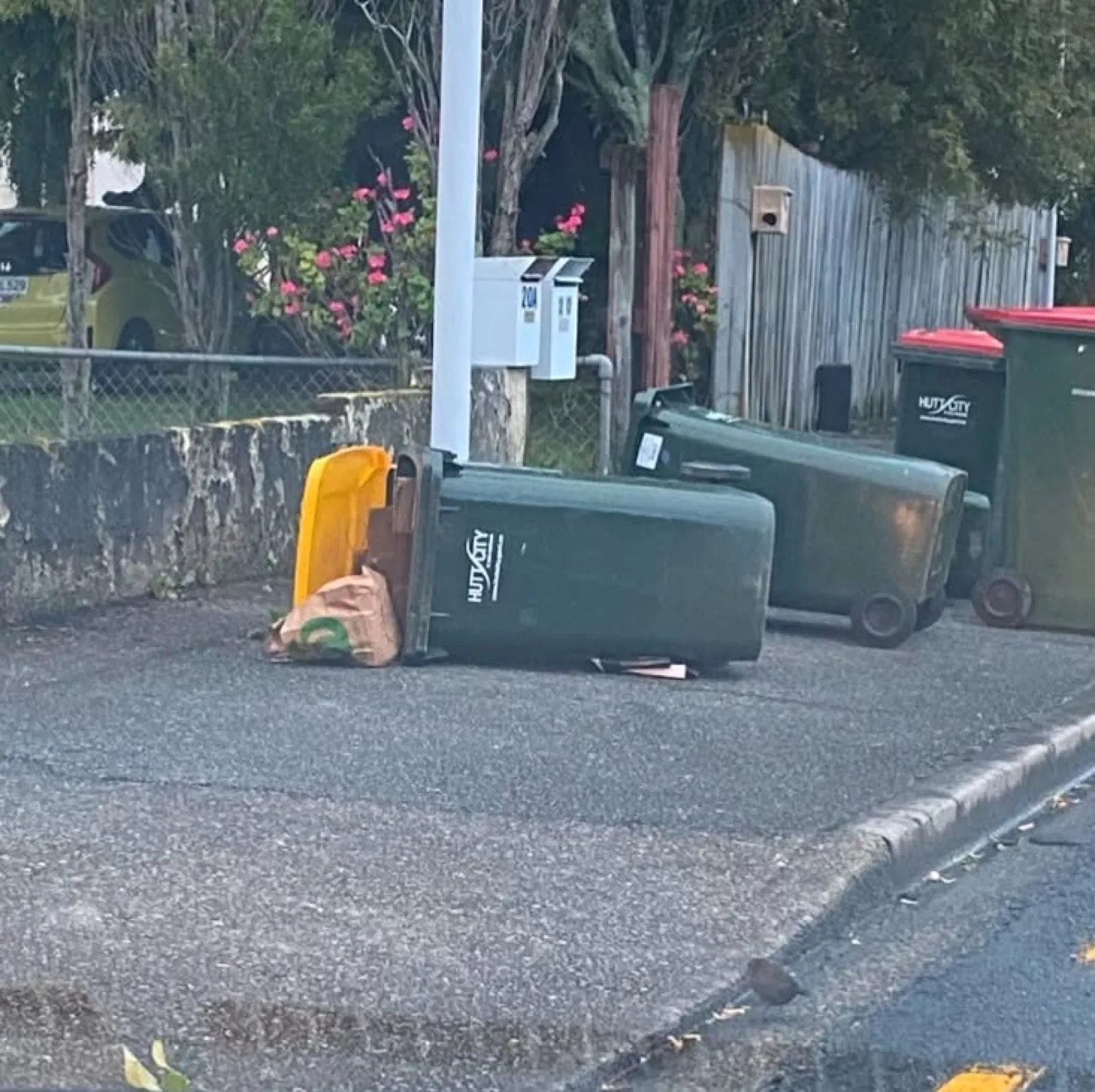A toppled wheelie bin on a wet suburban street